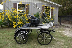 NHF Warrior 100 Shown here